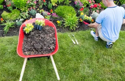 Gardening Service Perth
