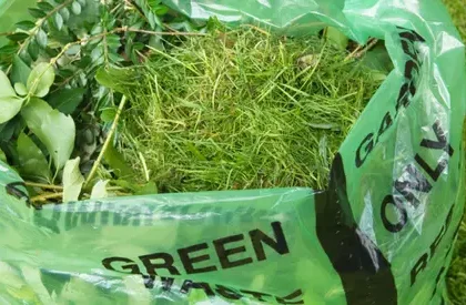 Green waste collection Perth – eco-friendly disposal bag filled with garden grass clippings and leaves.