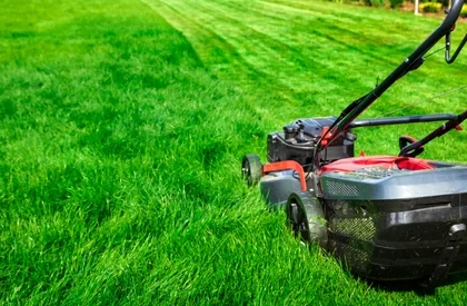 Lawn Mowing Service Perth (2) Lawn Mowing Service Perth