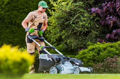Gardening Services Gardening Services in Alkimos