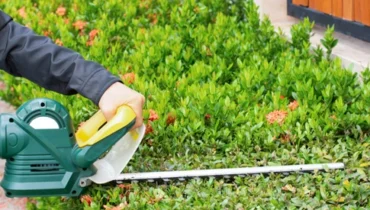 hedge trimming services perth