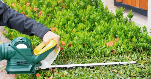 hedge trimming services perth