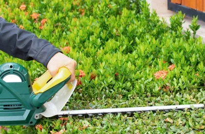 hedge trimming services perth