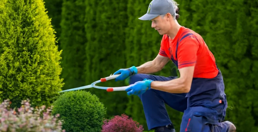 A professional gardener trimming a small shrub with long-handled shears, wearing a red shirt, blue pants, and gloves, set against a backdrop of tall conifer trees and vibrant flowers.