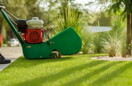 lawn care mowing services