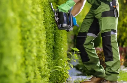 A gardener trimming a lush green hedge with an electric trimmer, wearing green work pants, protective gloves, and brown boots, with vibrant greenery in the background.