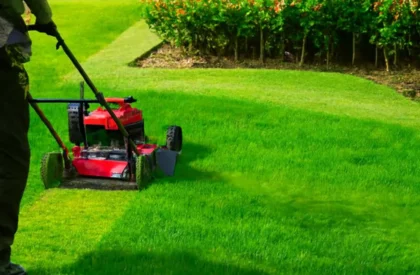 hedge trimming services