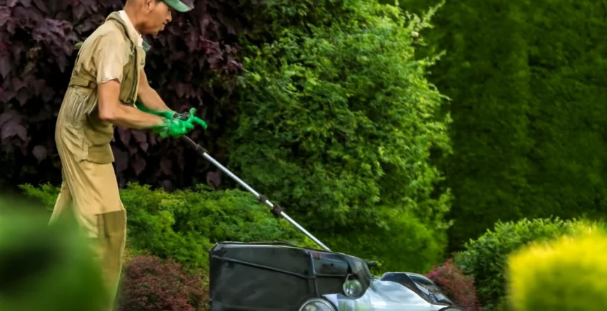 A landscaper operating a red zero-turn mower across a well-maintained lawn with neatly trimmed grass, set against a backdrop of tall trees and a white vinyl fence.