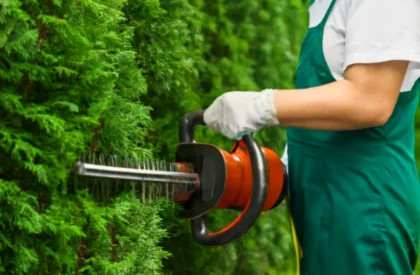 Hands using an electric hedge trimmer to shape bushes, showcasing reliable local gardening services.