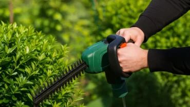 Professional gardener trimming hedges as part of local gardening services for home landscaping."