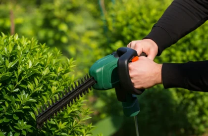 Professional gardener trimming hedges as part of local gardening services for home landscaping."