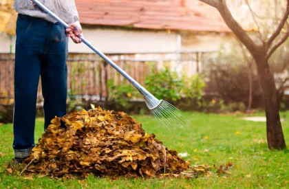 Professional garden cleanup services to maintain a beautiful and tidy outdoor space.