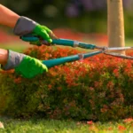 Reliable garden cleanup services for efficient removal of leaves, debris, and overgrown plants