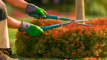 Reliable garden cleanup services for efficient removal of leaves, debris, and overgrown plants