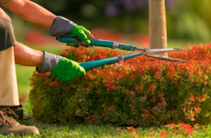 Reliable garden cleanup services for efficient removal of leaves, debris, and overgrown plants