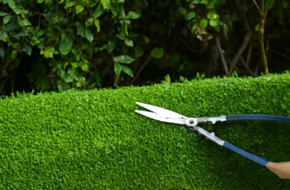 Professional garden maintenance services offering lawn care, hedge trimming, and plant maintenance for a pristine outdoor space.