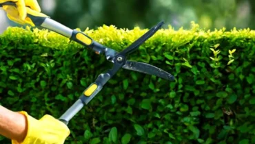 Expert garden maintenance services designed to keep your garden healthy and well-maintained throughout the year.