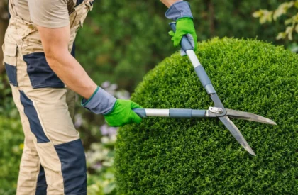 gardening services perth wa (2) gardening services perth wa