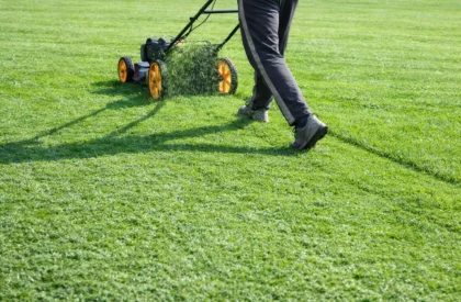 lawn and garden maintenance​
