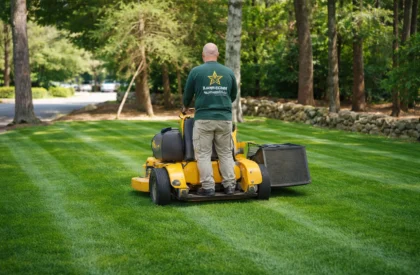 lawn and garden maintenance​