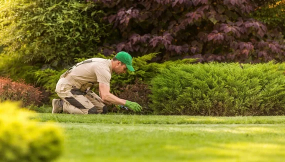 Best gardening services perth wa