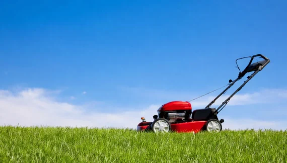 Best lawn mowers mowing