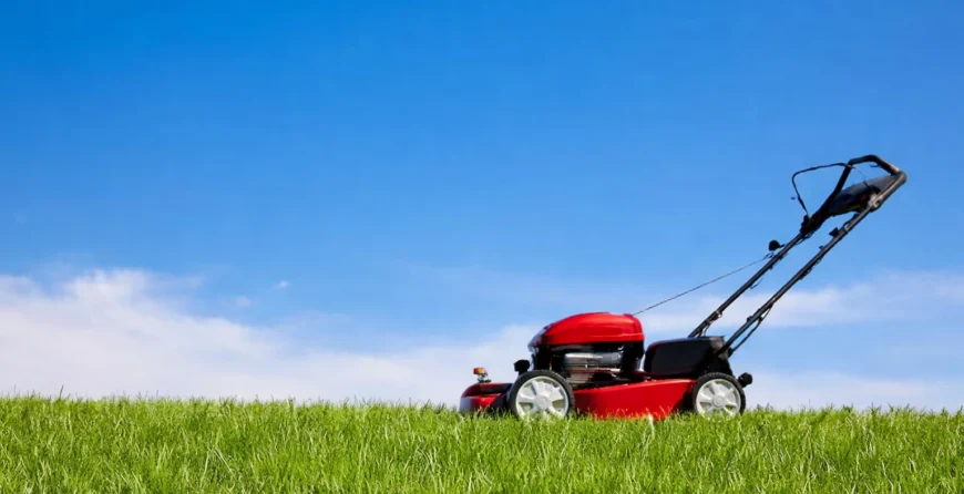 Best lawn mowers mowing