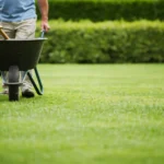 Commercial Gardening Services