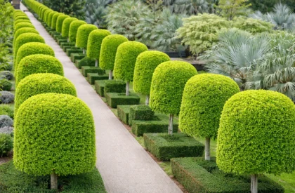 Contract Garden Services