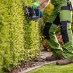 Garden Clean Up Perth