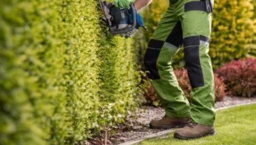 Garden Clean Up Perth