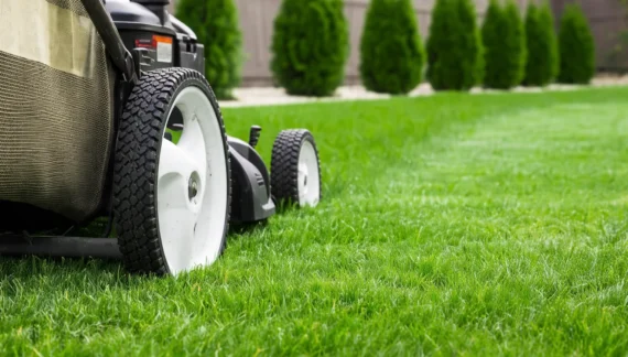 Lawn Mowing Service Perth