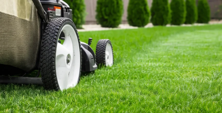 Lawn Mowing Service Perth