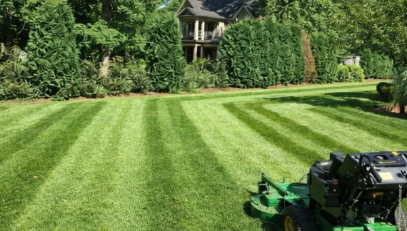 affordable lawn mowing services​