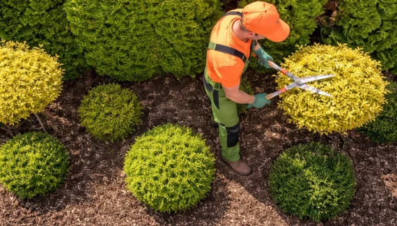 gardening maintenance services​