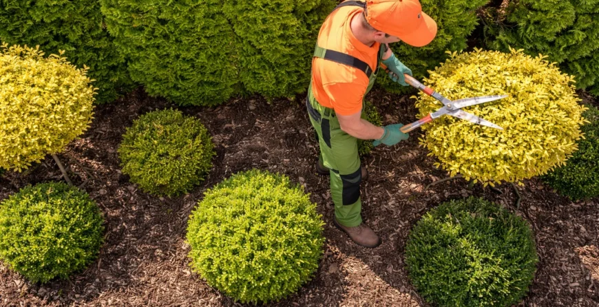 gardening maintenance services​