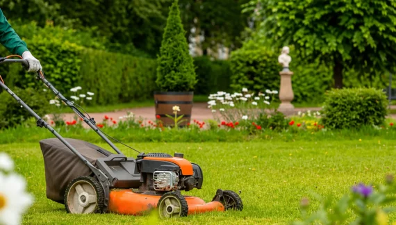 Home gardening services​